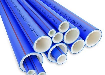 hình ảnh catalogue